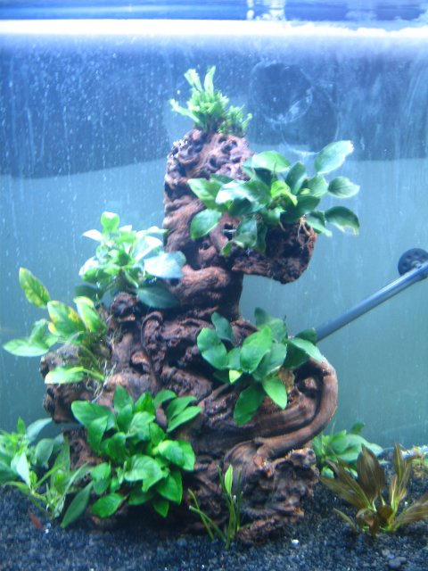 old old tank 947.jpg