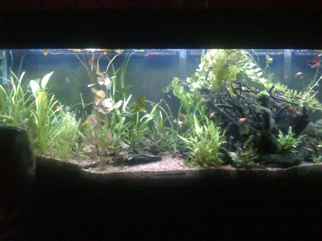 old old tank 823.jpg
