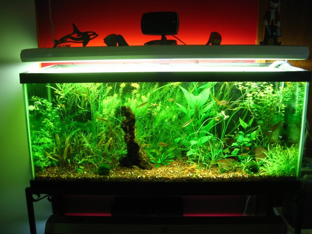 old old tank 936.jpg