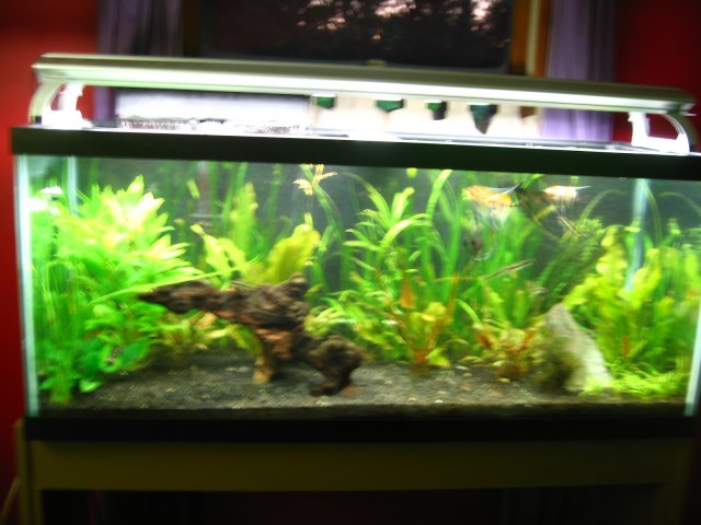 old old tank 940.jpg
