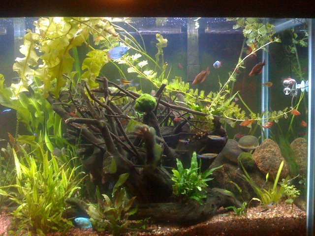 old old tank 520.jpg