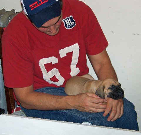 pup.jpeg