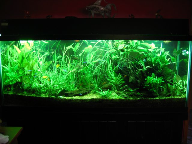 old old tank 963.jpg