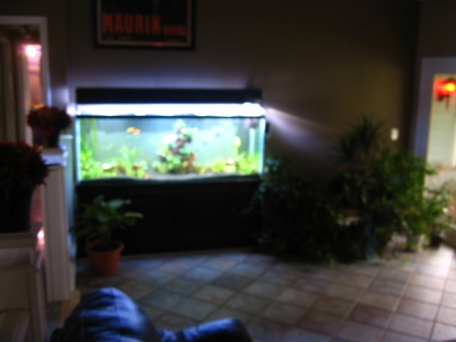 old old tank 966.jpg