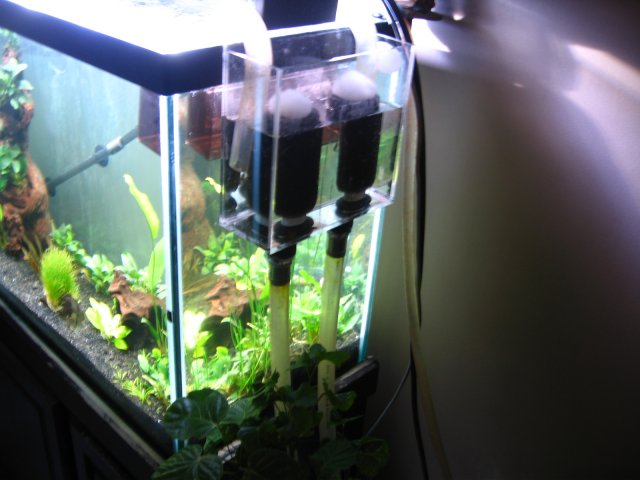 old old tank 969.jpg