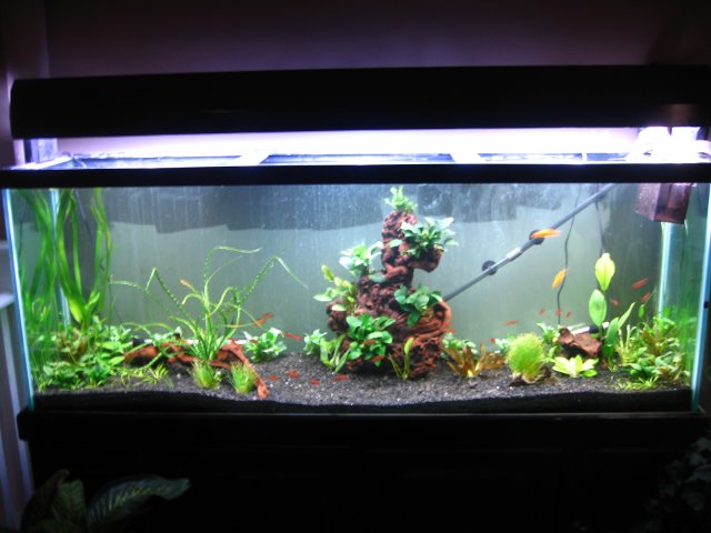 old old tank 971.jpg