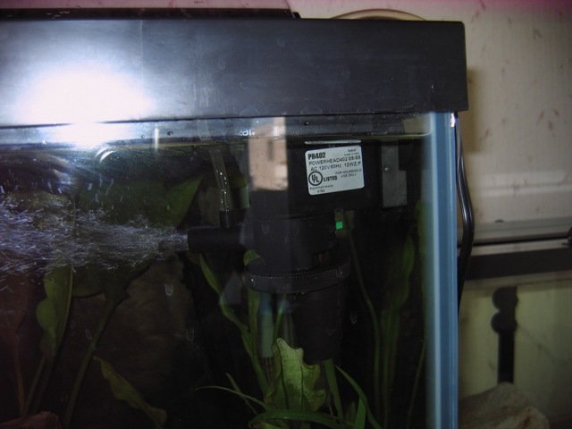 pets0003.JPG