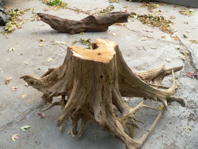 P1180724 (2).JPG