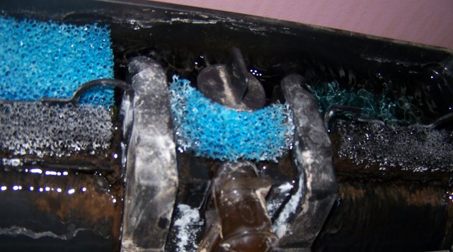 100_1791_cr.jpg