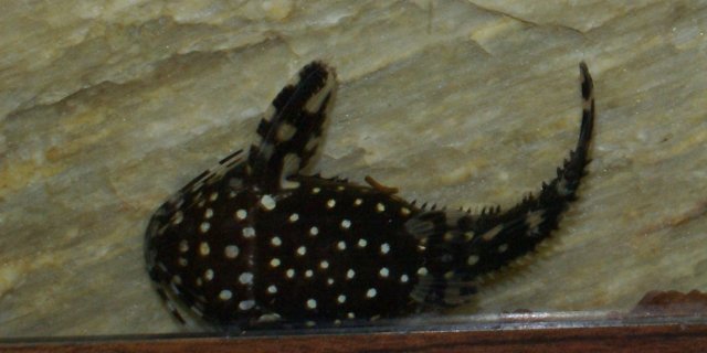 DSC01134.JPG DSC01134.JPG