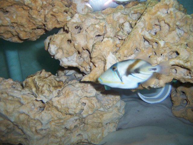 100_0893.JPG