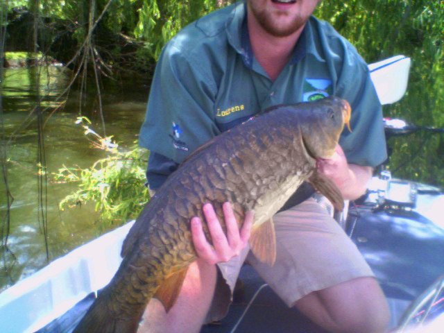 Carp2.jpg