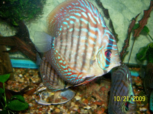 000_3485.jpg