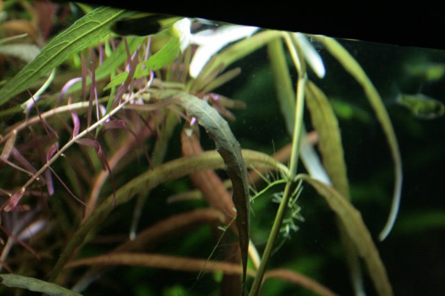_MG_2220.JPG