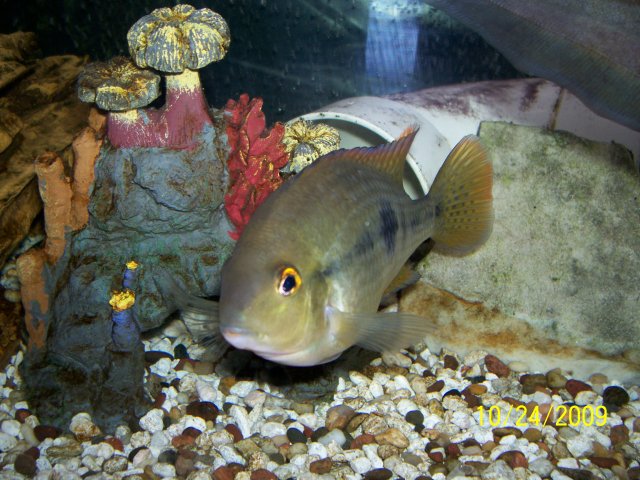000_3488.jpg