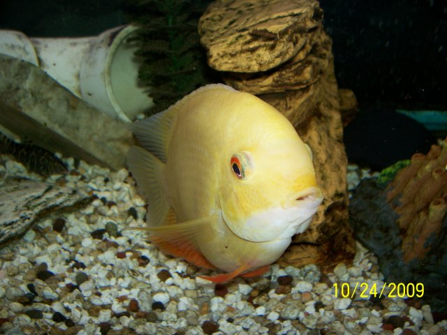 000_3489.jpg