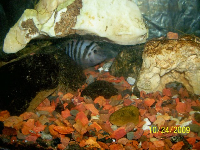 000_3495.jpg