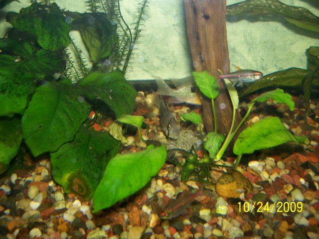 000_3496.jpg