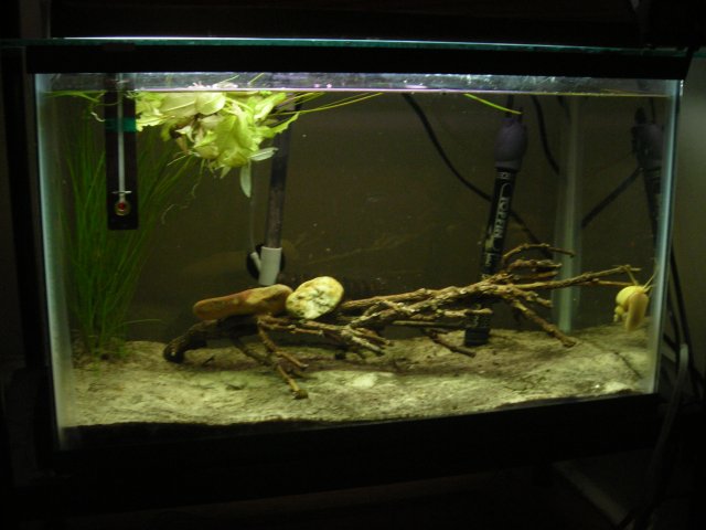 DSCN2306.JPG