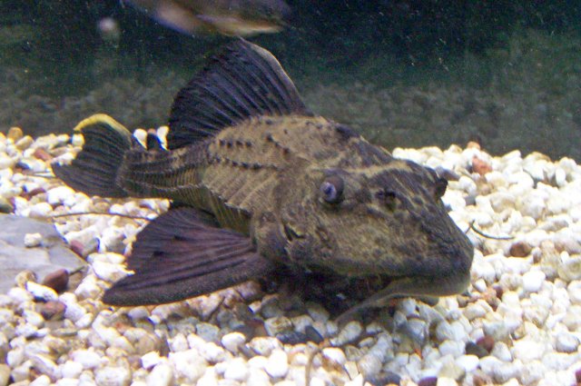 000_3509.jpg