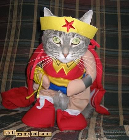 wonderwomancat.jpg
