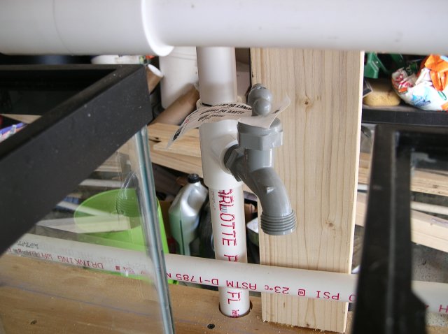 fish 036.jpg fish 036.jpg