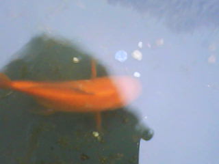 DSC00316.JPG