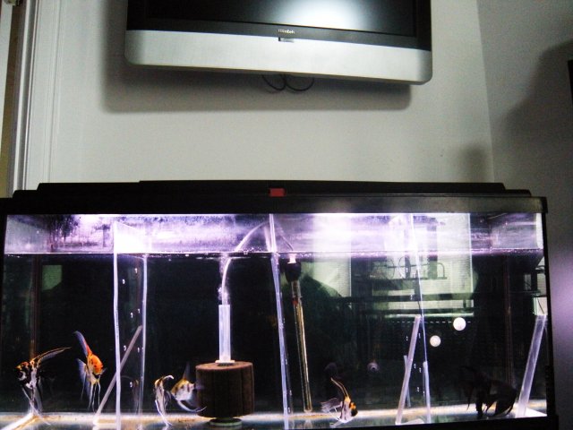 DSCN1660.JPG DSCN1660.JPG