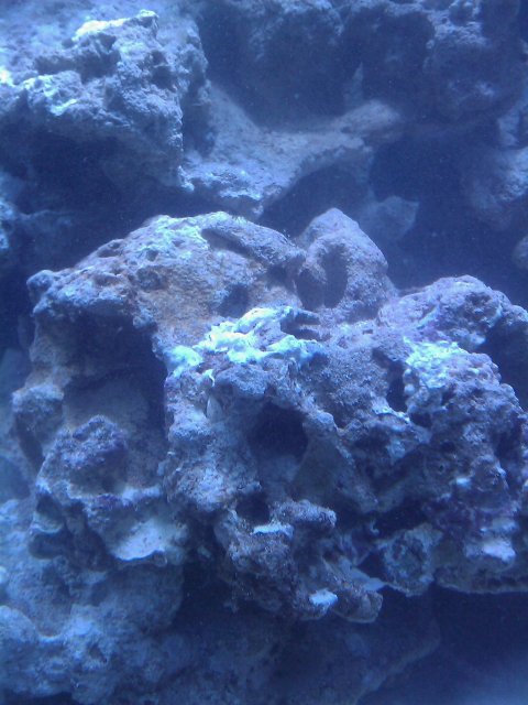 Phone Pictures 026.jpg