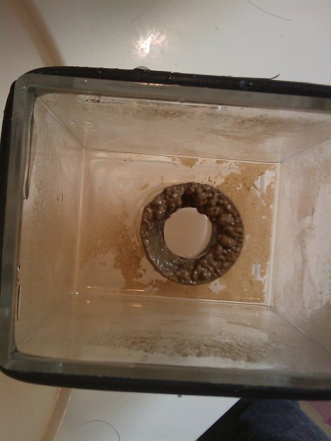 Phone Pictures 025.jpg