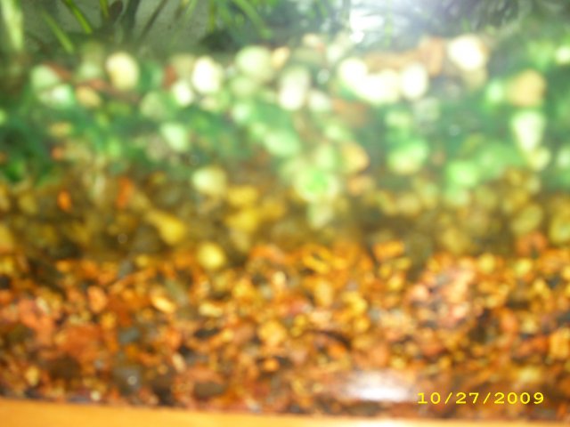 DSCI0724.JPG