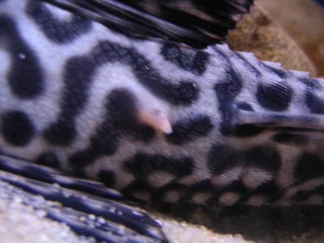 IMG_0653.jpg