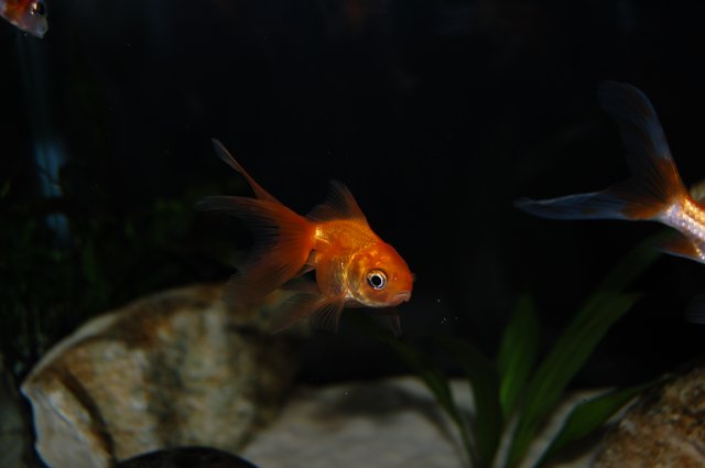 DSC_0025.JPG