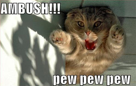 lolcats-ambush.jpg