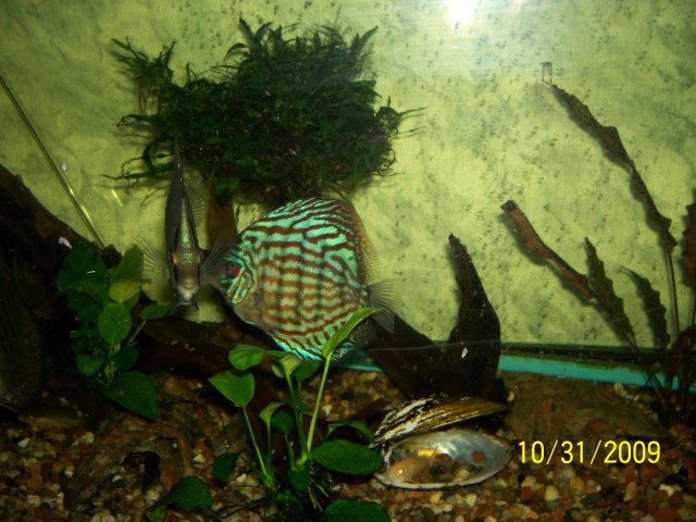 000_3540.jpg