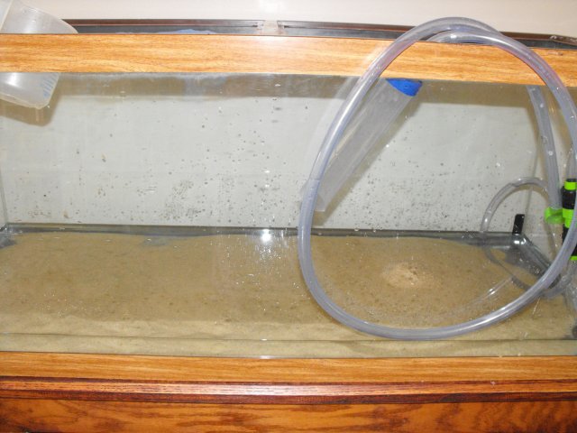 November 2009 008.jpg
