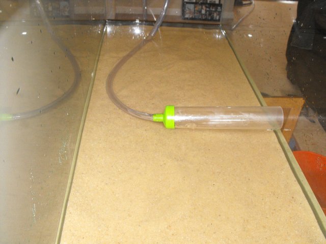 November 2009 015.jpg