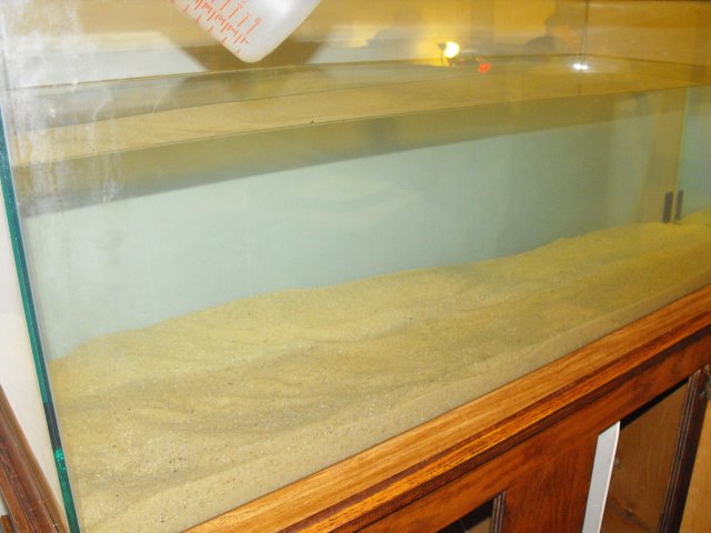 November 2009 017.jpg