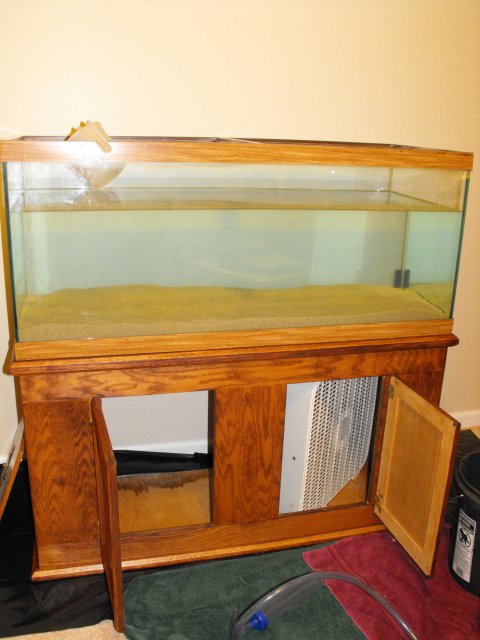 November 2009 016.jpg