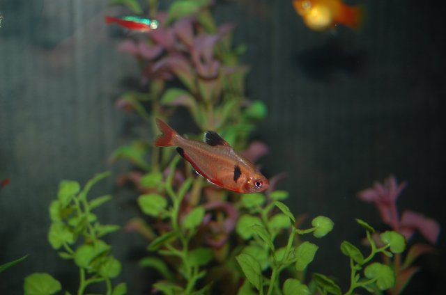 DSC_2582.JPG