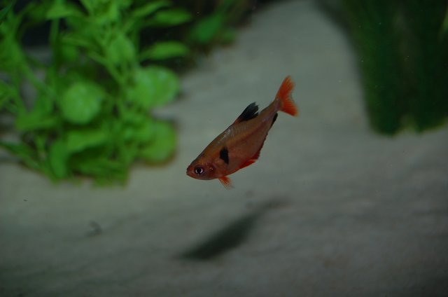 DSC_2583.JPG