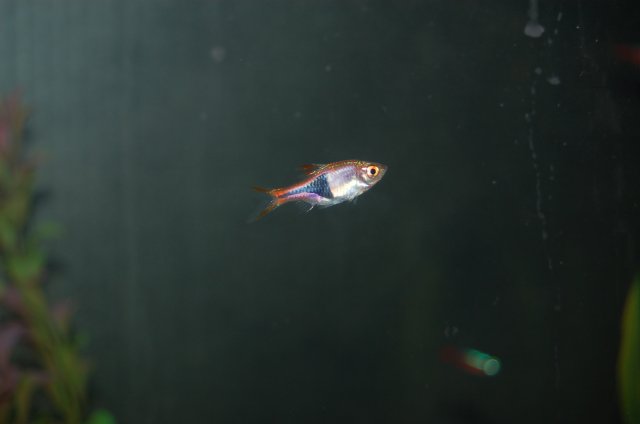 DSC_2588.JPG