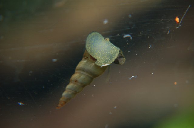 DSC_2629.JPG