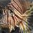 dustin_crull