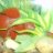 FishFixation