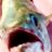 NoahLikesFish