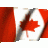 Torontoman5