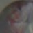 DaveDoles