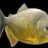 piranhamama
