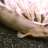 rsandelius